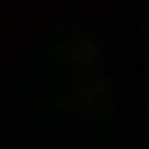 Meet your Posher, Monique